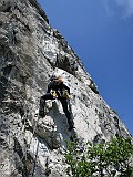 IMG_4779