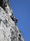 IMG_4782