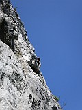 IMG_4784