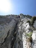IMG_4790