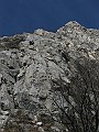 IMG_7231