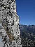 IMG_6793