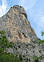 IMG_8239