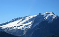 IMG_1517
