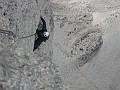 IMG_1540