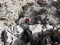 IMG_1554