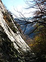 IMG_9286