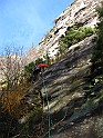 IMG_9288