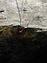 IMG_9296