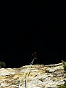 IMG_9318