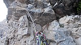 DSCN2956