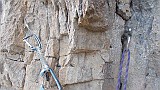 DSCN3047