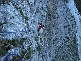 IMG_3551