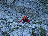 IMG_3555