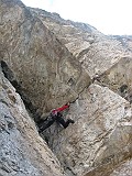 IMG_3594
