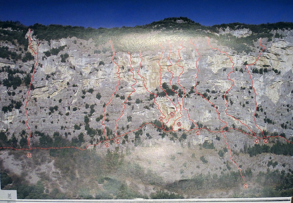 PareteAnglone.jpg - Via di medio livello sulla parete delle Coste dell'Anglone, la n°29 sulla foto tratta dalla guida 'Pareti del Sarca' III edizione. La più lunga della parete in qanto percorre anche lo zoccolo evitato per sentiero dalle altre.                               