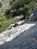 IMG_8378