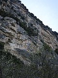 IMG_8393