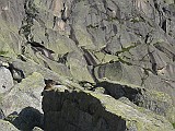 IMG_0424