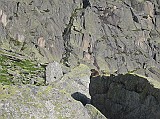 IMG_0425