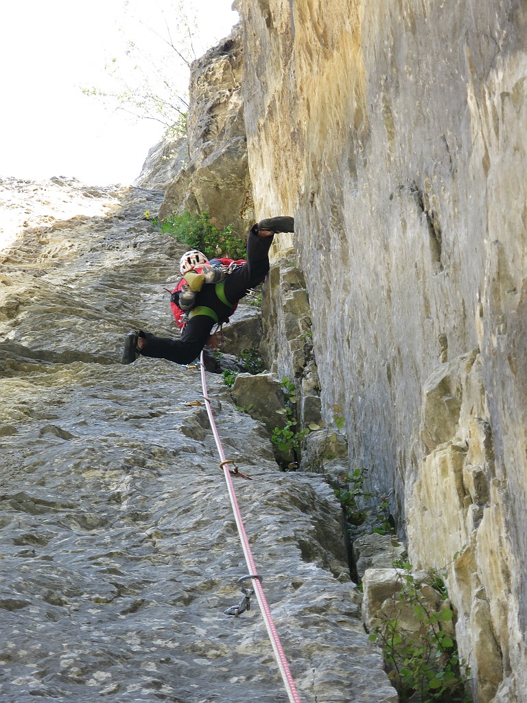 IMG_7014.JPG