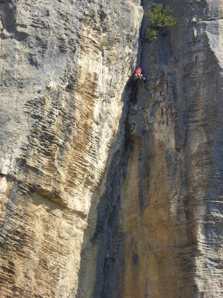 P1030249.JPG