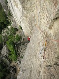 IMG_7003