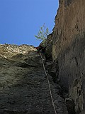 IMG_7016