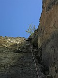 IMG_7017