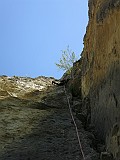 IMG_7018