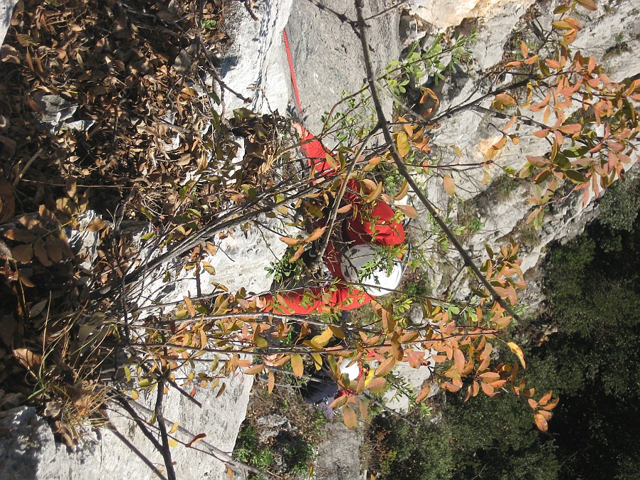 IMG_2081.JPG
