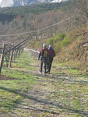 IMG_2071