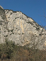 IMG_2072