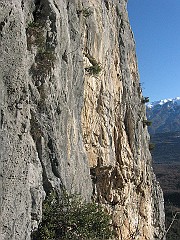 IMG_2074