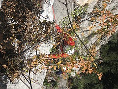 IMG_2081