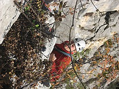 IMG_2082
