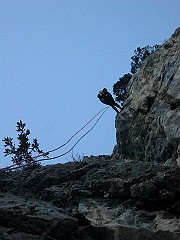 IMG_2095