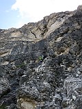 IMG_0714