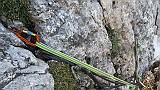 IMG_3892