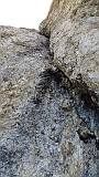 IMG_3912