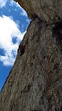 IMG_3918