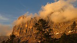 IMG_3980