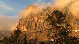 IMG_3981