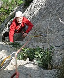 IMG_6958