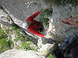 IMG_6960