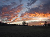 IMG_8116