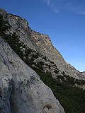 IMG_8136