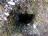 IMG_8137