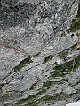 IMG_2240