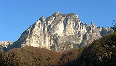 IMG_1917